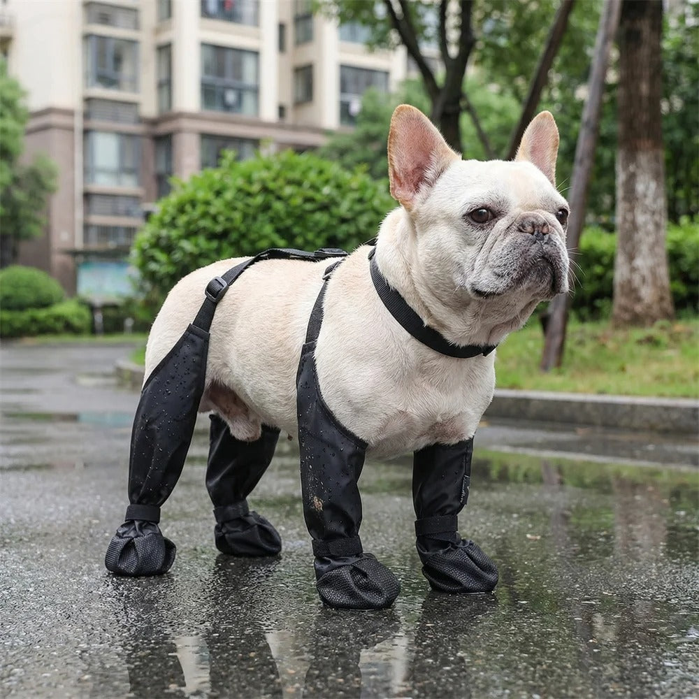 Botas impermeables para perros