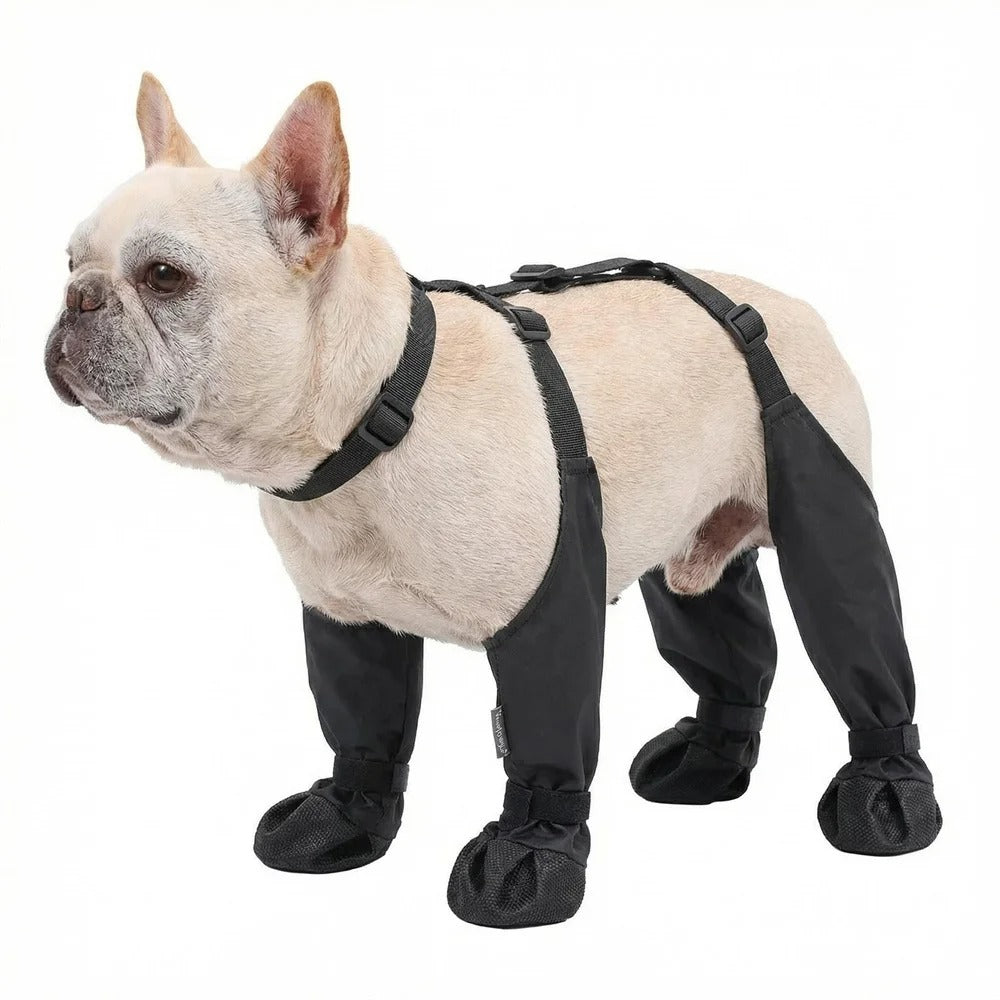 Botas impermeables para perros