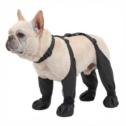 Botas impermeables para perros